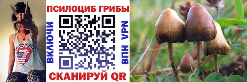 hydra ССЫЛКА  Велиж  Псилоцибиновые грибы MAGIC MUSHROOMS 