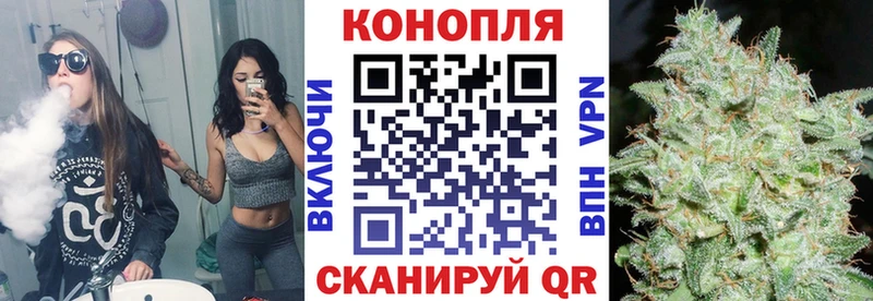 Бошки марихуана сатива  Велиж 